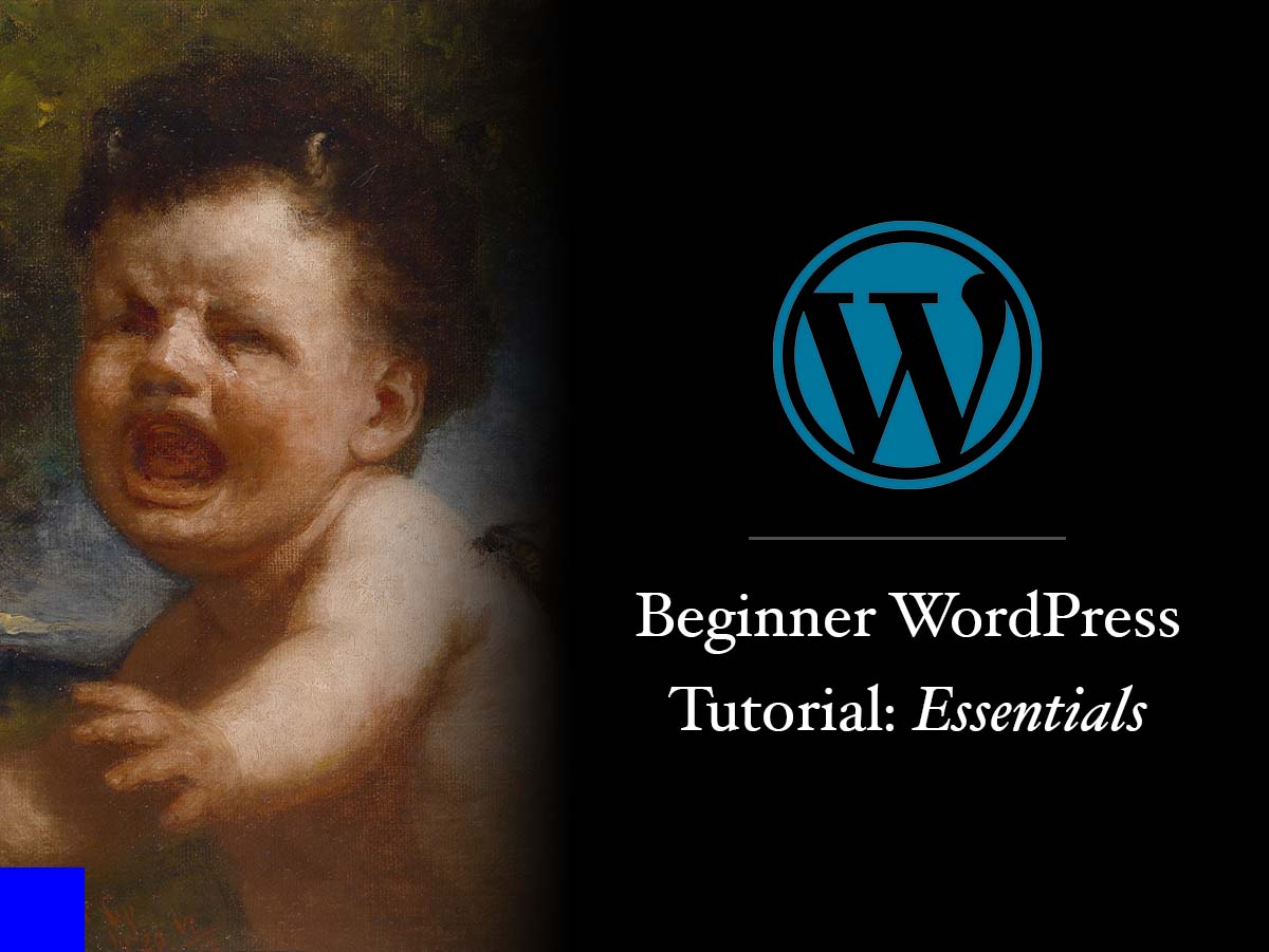 Learn WordPress: An Essential Guide For Complete Beginners Image Banner