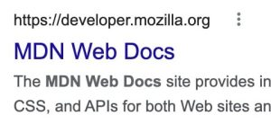 Screenshot of MDN Web Docs appearing in search results