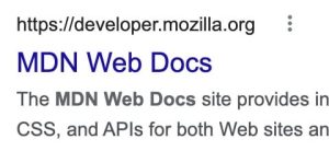 Screenshot of MDN Web Docs search result.